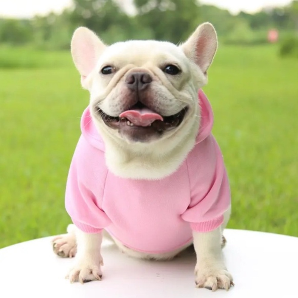 Pet Clothes Dog Warm Vest Winter Cute Hoodie Sweater Coat Costumes Red Small